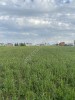 земельный участок для ИЖС 4,85 га
