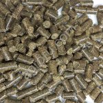 Шрот рапсовый 44% протеин