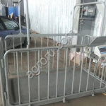 Весы для взвешивания животных