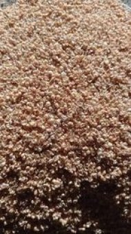 Лузга просяная (шелуха)