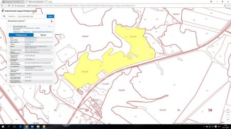 Сдается в аренду земельный участок с/х назначения