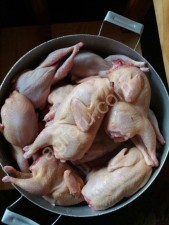 Мясо(тушки) перепелов.