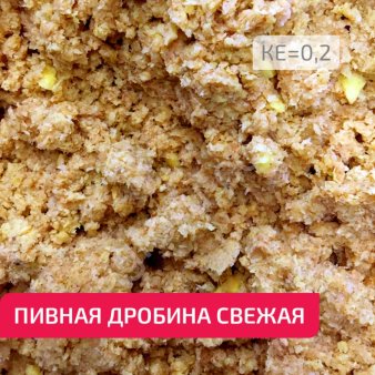 Пивная дробина влажная