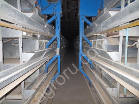 Клетки для содержания кур несушек на 30.000 тыс штук.