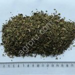 Мяты перечной листья 7-10 мм