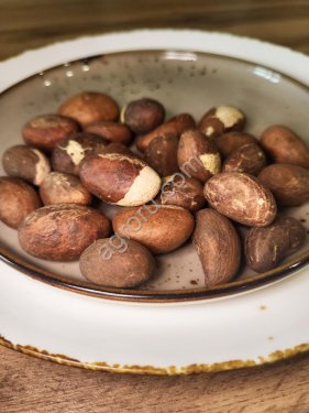 Орех Гарциния Кола (Petit Cola) свежий
