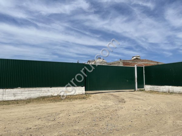 ЖИРНЫЕ КИСЛОТЫ ПОДСОЛНЕЧНОГО МАСЛА для добавок в корма птицы и животным.