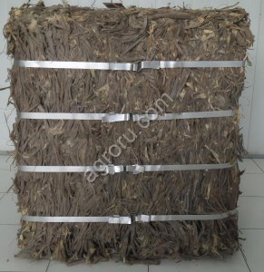 Корень солодки