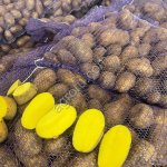 Картофель Оптом в республике Крым