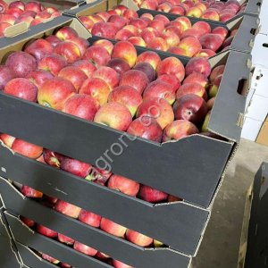 Яблоки оптом.