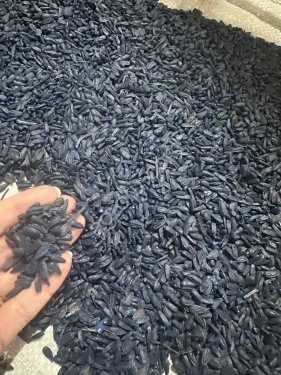 Семена кукурузы, подсолнечника, рапса урожая г
