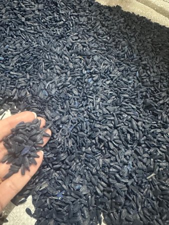 Семена кукурузы, подсолнечника, рапса урожая г