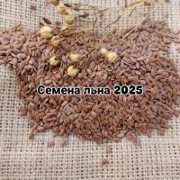 Семена льна коричневого