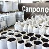 Сапропель органическое удобрение ОПТ