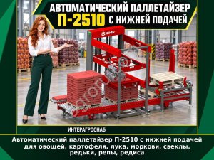 Автоматический паллетайзер П-2510 с нижней подачей для овощей, картофеля, лука, моркови, свеклы, редьки, репы, редиса