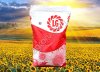 LIMAGRAIN - ГИБРИД ПОДСОЛНЕЧНИКА 5542