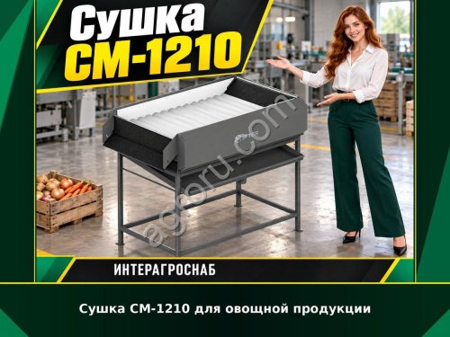 Сушка СМ-1210 для овощной продукции