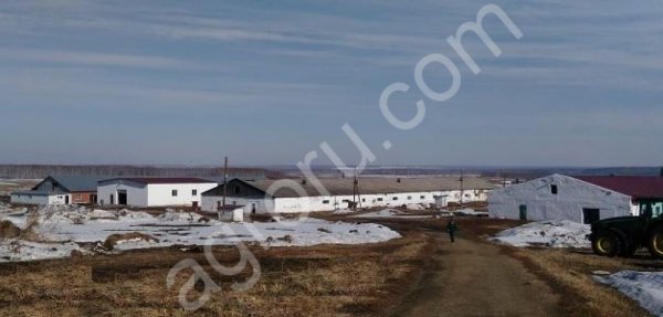 Свинокомплекс