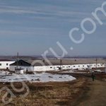 Свинокомплекс