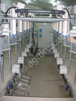 Доильный зал Елочка