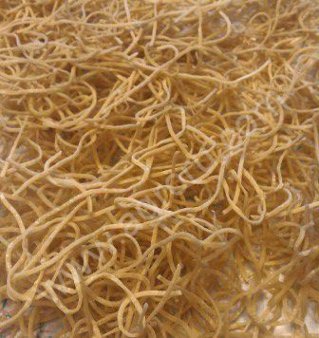 Лапша по-домашнему опт