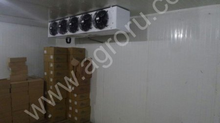 Морозильная камера