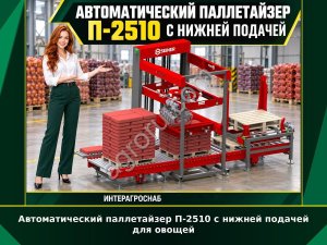 Автоматический паллетайзер П-2510 с нижней подачей для овощей
