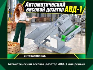 Автоматический весовой дозатор АВД-1 для редьки