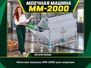 Моечная машина ММ-2000 для моркови