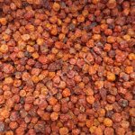 Красная рябина