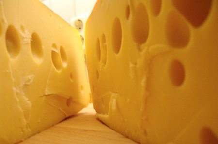 Незаконный сыр арестован