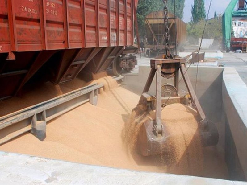 Краткий обзор зернового рынка