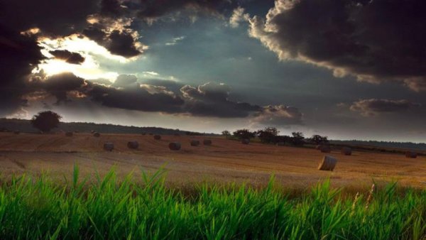 Об агрометеорологических условиях на территории России во 2-й и 3-й декадах апреля 2016 г