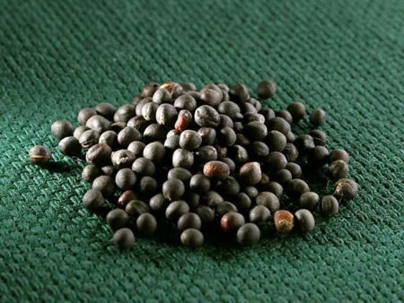 Импорт рапса в Японии увеличился на 9%