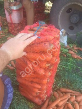 Морковь (белый мешок) урожай 2020 года