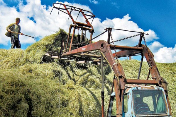 Министр посетил Тукаевский, Мензелинский и Актанышский районы РТ