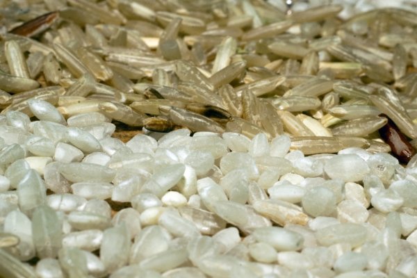 Средние цены на крупы Ульяновской области