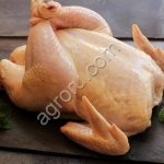 Фермерская курица