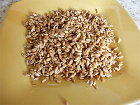 Россия: в Астраханской области закончен сев озимых