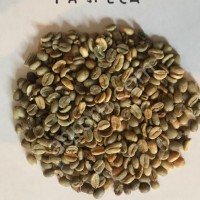 Зеленый кофе