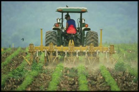 В США ситуация с урожаем зерновых все тревожнее