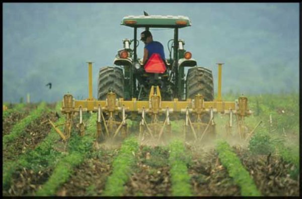 В США ситуация с урожаем зерновых все тревожнее