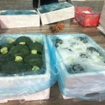 Брокколи оптом.