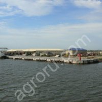 Перевалка зерновых культур.