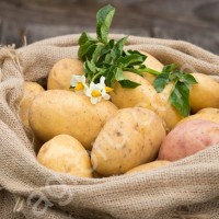 Картофель