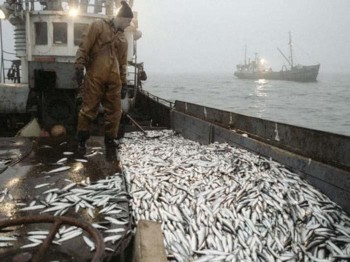 Российские рыбаки держат планку