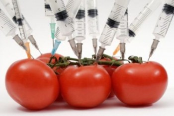 ГМО содержится в половине продуктов мира