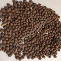 Вика яровая семена Суперэлита с сертификатом