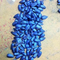 COLOR SEED - Краска для Инкрустации Семян (окраска семян в любой цвет)