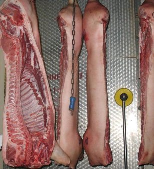 Е.Скрынник: производители и переработчики говядины должны объединить усилия